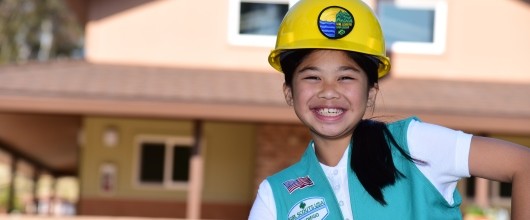 PN2016_AnnualReport_Build_ (27) 530x220 PN2016_AnnualReport_Build_ (27) 530x220
