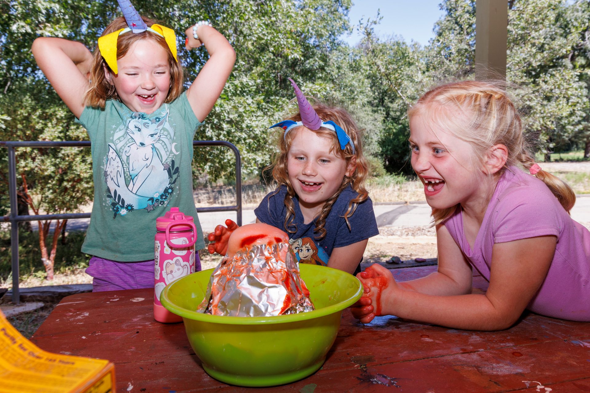 Girl Scout Activity Zone